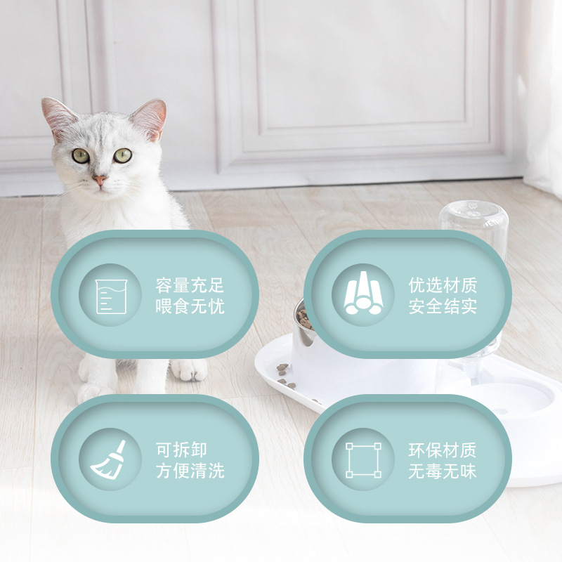 Anti-Splash Removable and Washable Stainless Steel Double Bowl Tilt Protection Cervical Spine Pet Bowl Cat Food Holder Dual-Use Dog Bowl