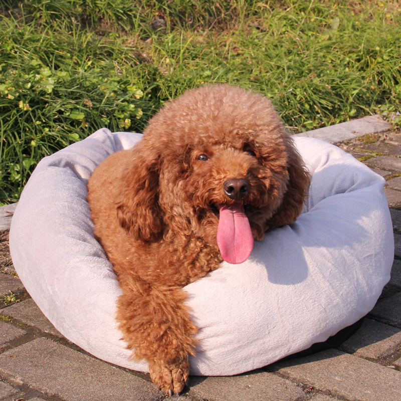 Kennel VIP Bichon Coral Velvet Cotton Pet Nest Mat Detachable Teddy Doghouse in Dogs and Cats Are Bichon Soft Bed Cotton Pet Nest