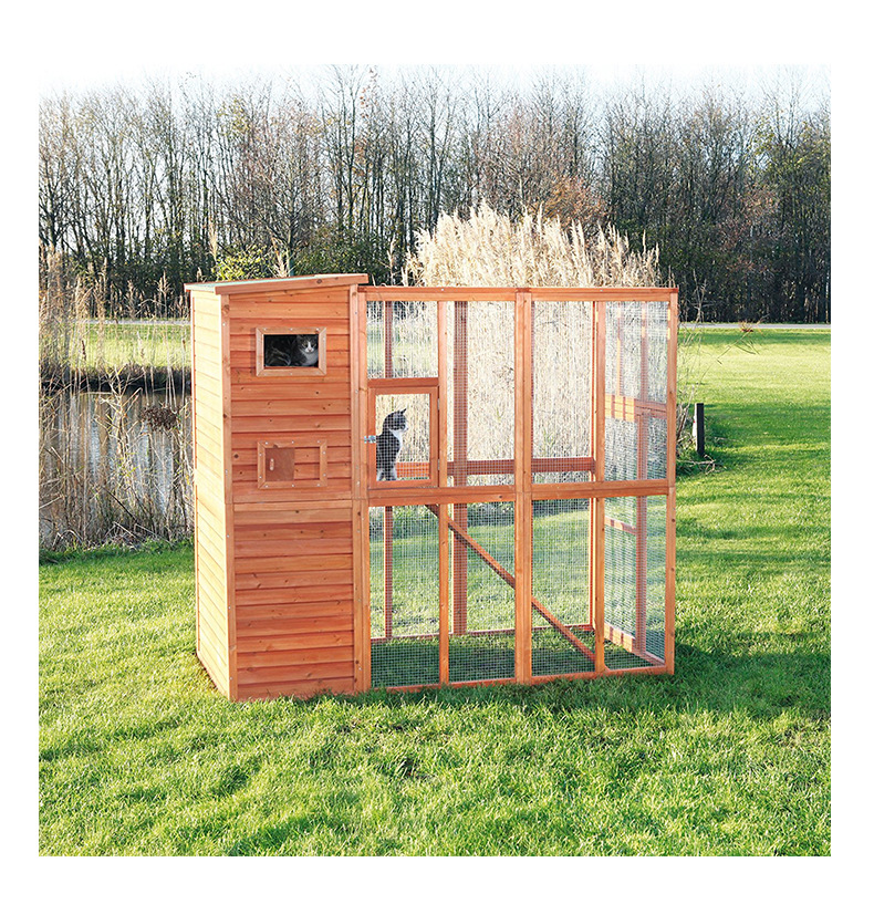 Factory pet nest chicken coop chicken coop chicken coop home fence wooden display parrot cage dog cage duck coop Factory pet nest chicken coop chicken coop chicken coop home fence wooden display parrot cage dog cage duck coop