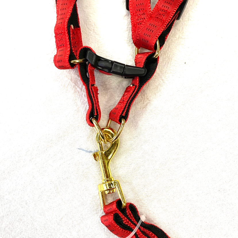 Pet Chain Silver Edge Flat Rope Chest Back Hand Holding Rope 6 Color Tone Mixed Pet Chain Silver Edge Flat Rope Chest Back Hand Holding Rope 6 Color Tone Mixed