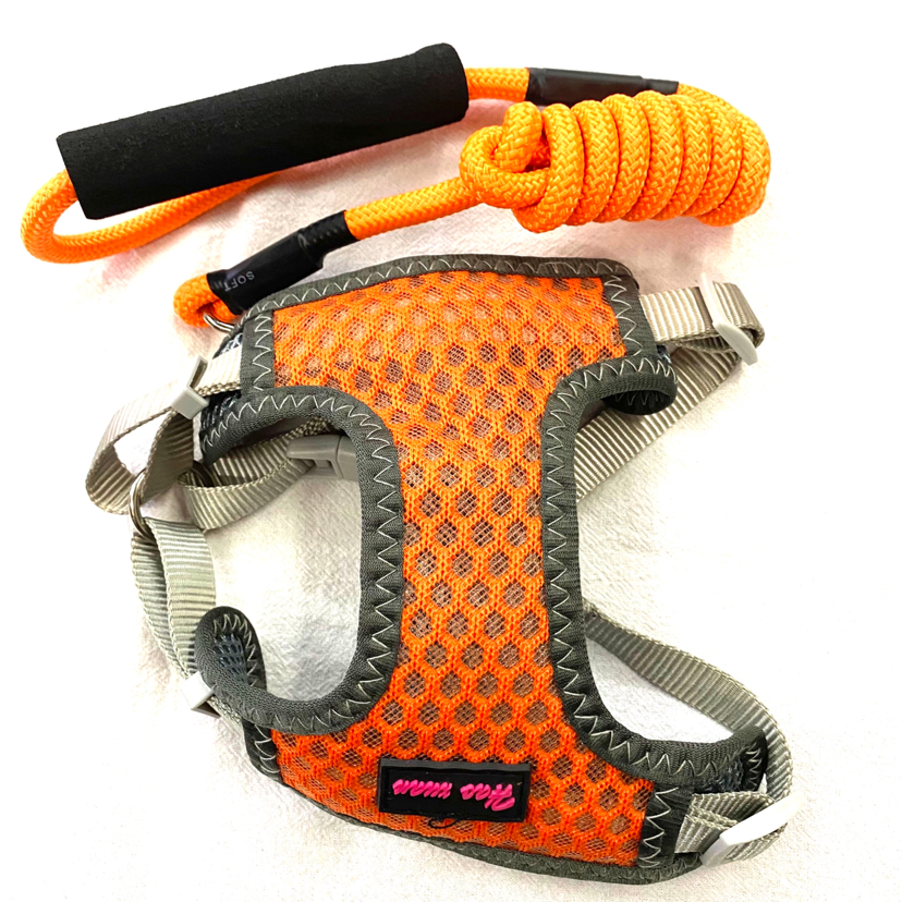 Pet Chain Breathable Mesh Back + Hand Holding Rope Pet Chain Breathable Mesh Back + Hand Holding Rope