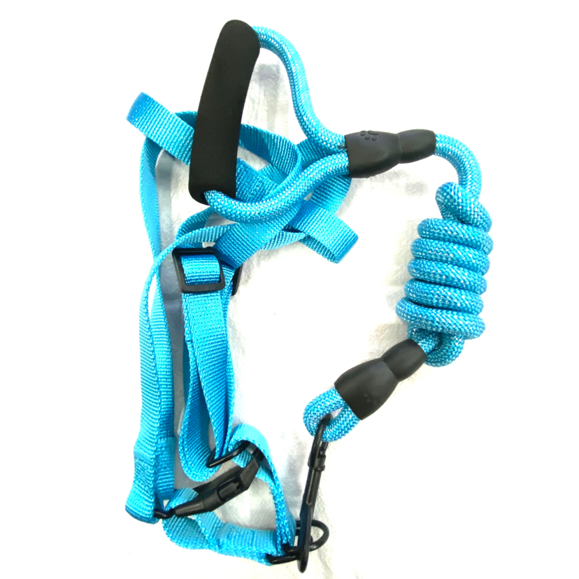 Pet Chain Silver Silk Bandlet Hand Holding Rope 5 Colors Mixed Pet Chain Silver Silk Bandlet Hand Holding Rope 5 Colors Mixed