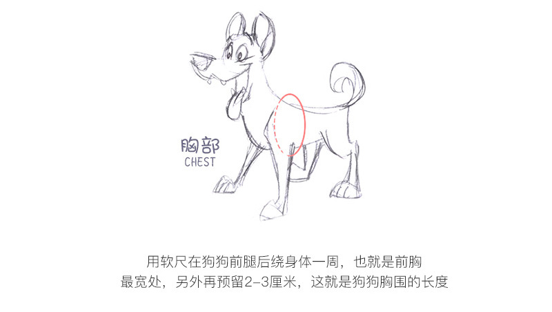 Cross-Border Hot Selling Cartoon Cotton Cloth Cat Pulling Rope Breathable Anti Breaking Loose Cat Rope Vest Style Chest Strap Pet Rope Cross-Border Hot Selling Cartoon Cotton Cloth Cat Pulling Rope Breathable Anti Breaking Loose Cat Rope Vest Style Chest Strap Pet Rope
