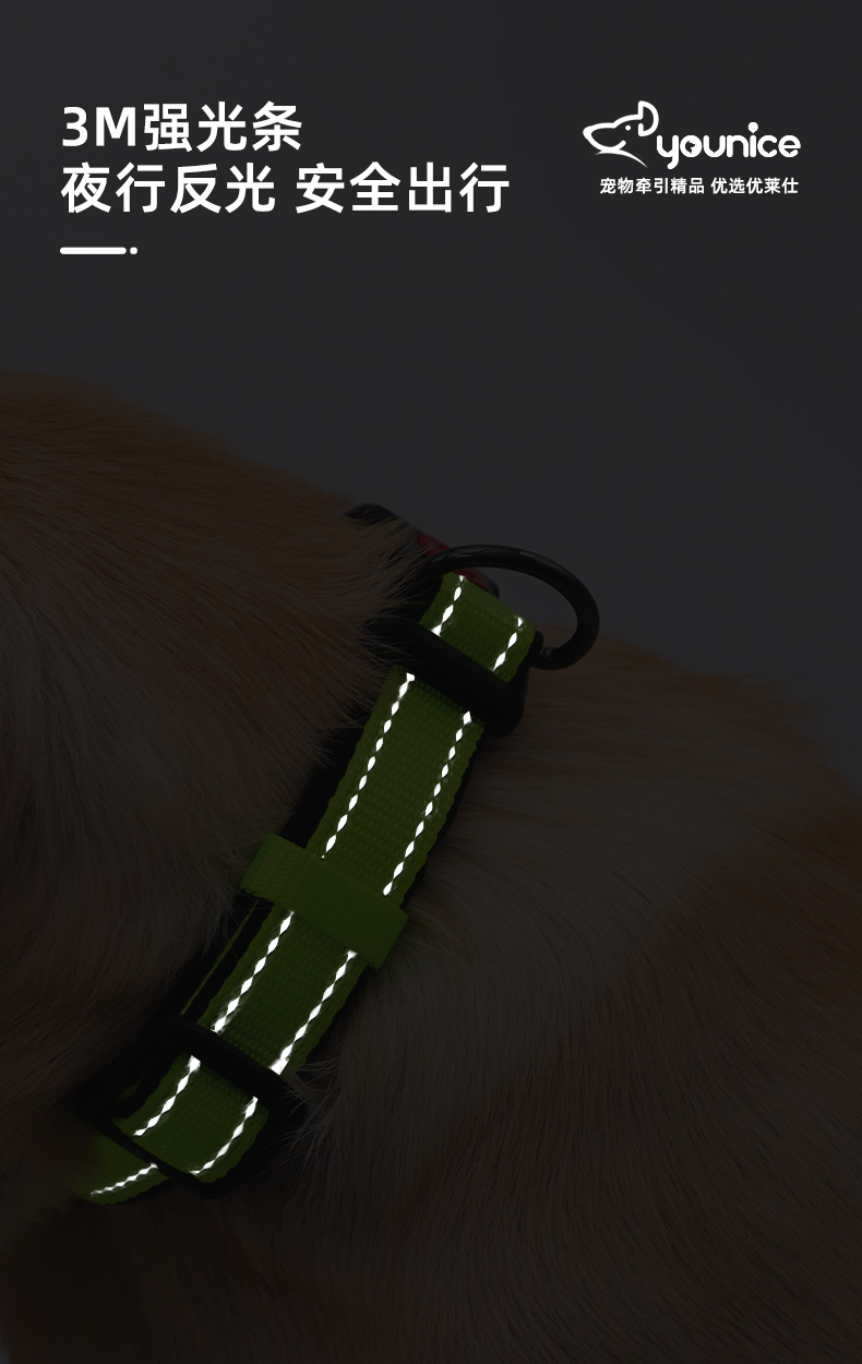 Factory Direct Sales Hot Sale Luminous Reflective Hand Holding Rope Nylon Bandana Double D Buckle Adjustable Dog Collar Pet Rope Wholesale Factory Direct Sales Hot Sale Luminous Reflective Hand Holding Rope Nylon Bandana Double D Buckle Adjustable Dog Collar Pet Rope Wholesale