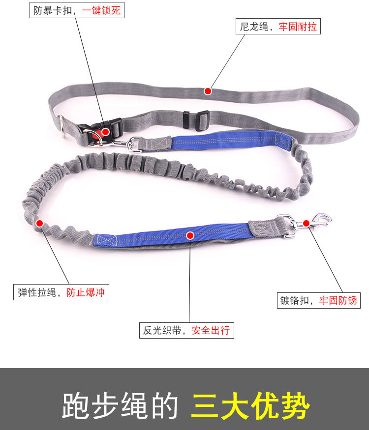 Amazon Pet Supplies Explosion-Proof Elastic Nylon Pet Running Hand Holding Rope Pet Rope in Stock Wholesale