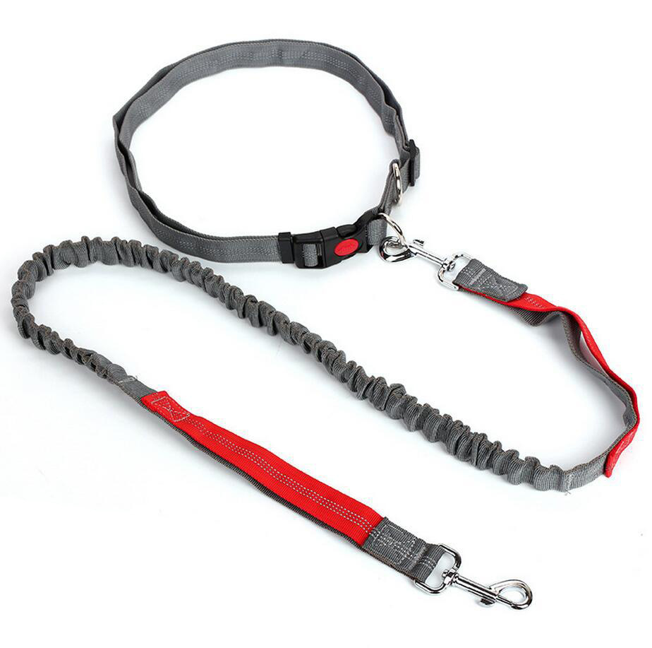 Amazon Pet Supplies Explosion-Proof Elastic Nylon Pet Running Hand Holding Rope Pet Rope in Stock Wholesale