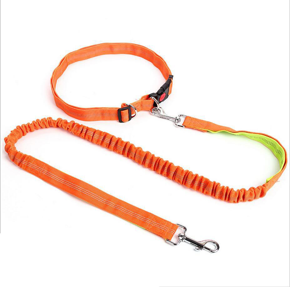 Amazon Pet Supplies Explosion-Proof Elastic Nylon Pet Running Hand Holding Rope Pet Rope in Stock Wholesale
