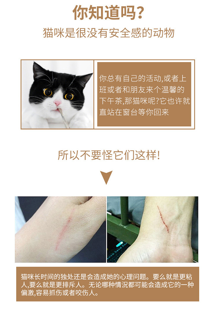 USB Rechargeable Laser Cat Teaser Multi-Pattern Amazon Cat Toy Pet Supplies Toy Funny Cat Pen