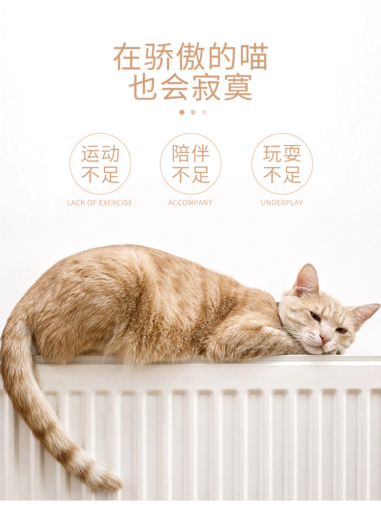 USB Rechargeable Laser Cat Teaser Multi-Pattern Amazon Cat Toy Pet Supplies Toy Funny Cat Pen