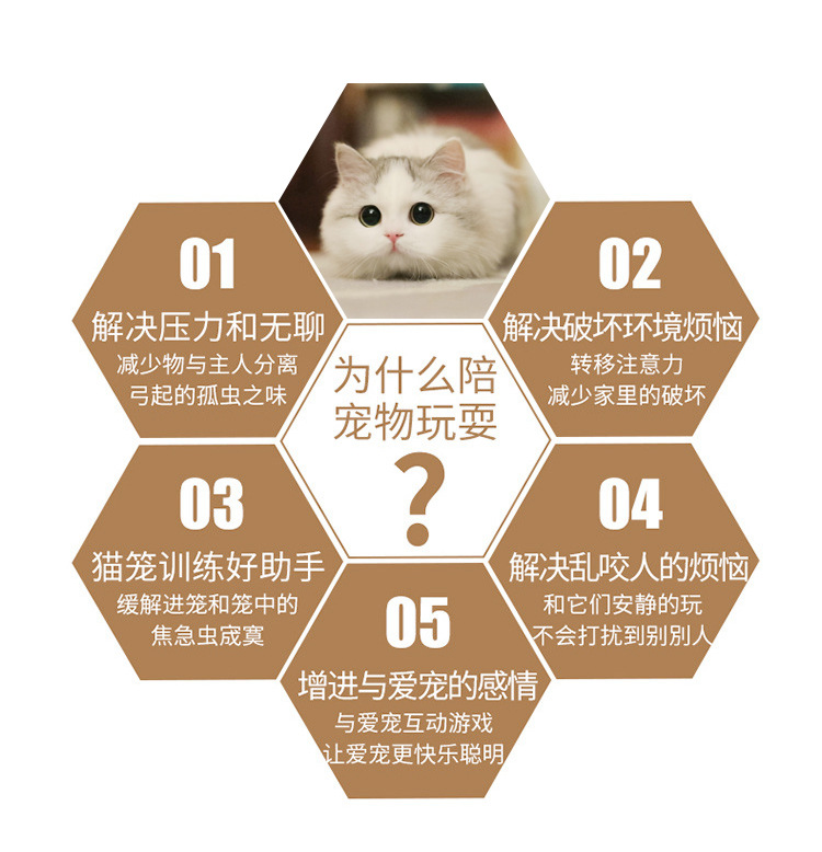USB Rechargeable Laser Cat Teaser Multi-Pattern Amazon Cat Toy Pet Supplies Toy Funny Cat Pen