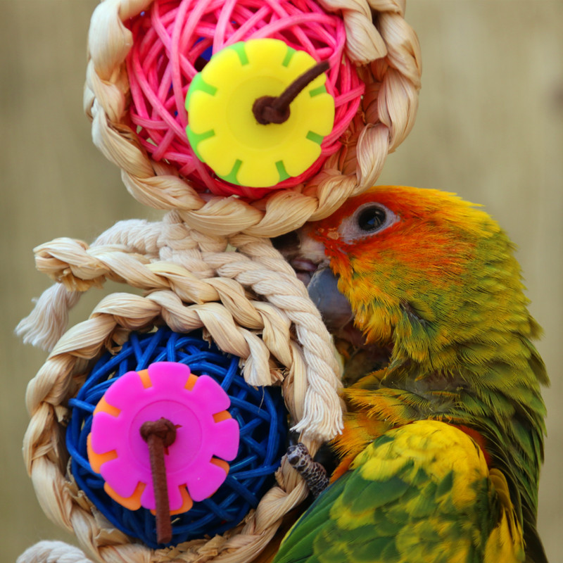 Parrot Supplies Pet Bird Toy Bite Toy Vine Bal Twist String