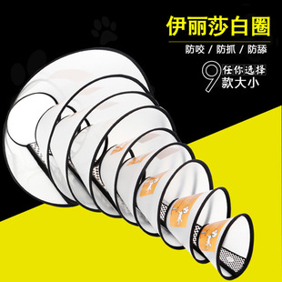 Factory In Stock Steel Wire Color Feather Cat Teaser Cat Toy Free Bell Cat Toy Pet Supplies Wholesale