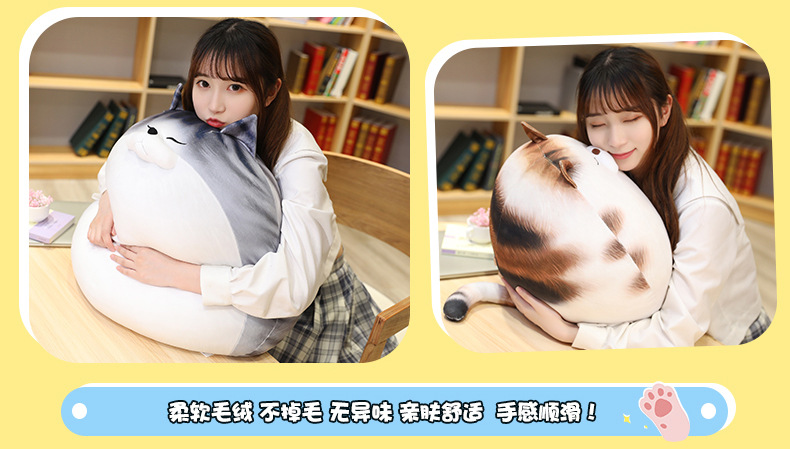 Japanese Cute Pet Kitty DDMOO Doll Doll Plush Toy Bed Sleeping Super Soft Big Pillow Ragdoll