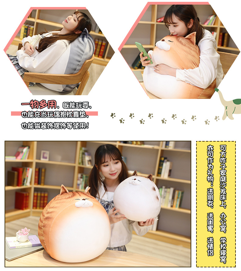 Japanese Cute Pet Kitty DDMOO Doll Doll Plush Toy Bed Sleeping Super Soft Big Pillow Ragdoll