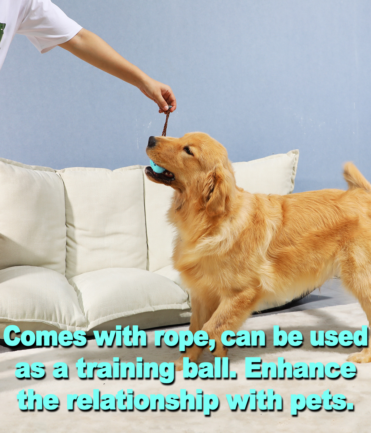 Dog Toothbrush Pet Dog Toothbrush Dog Molar Tooth Cleaning Stick Leakage Food Feeder Ball Bite-Resistant Toys Supplies Dog Toothbrush Pet Dog Toothbrush Dog Molar Tooth Cleaning Stick Leakage Food Feeder Ball Bite-Resistant Toys Supplies