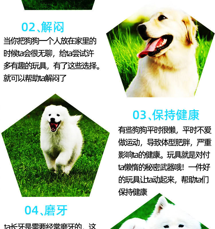Pet Toy Ball Rubber Elastic Flash Dog Toy Pet Bite-Resistant Molar Tooth Cleaning Toy Ball Pet Dog Bite Ball Pet Toy Ball Rubber Elastic Flash Dog Toy Pet Bite-Resistant Molar Tooth Cleaning Toy Ball Pet Dog Bite Ball