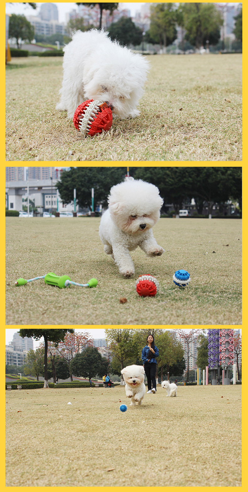 Pet Toy Ball Rubber Ball Bite-Resistant Molar Tooth Cleaning Ball Pet Molar Toy Rubber Dog Toys
