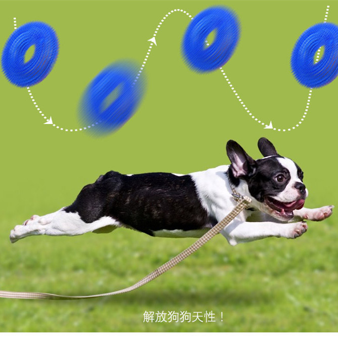 Pet Toy Bite-Resistant Vocalization Toy Ball Large Dog Golden Retriever Barbed TPR Dog Toy Tooth Cleaning Molar Dog Toy