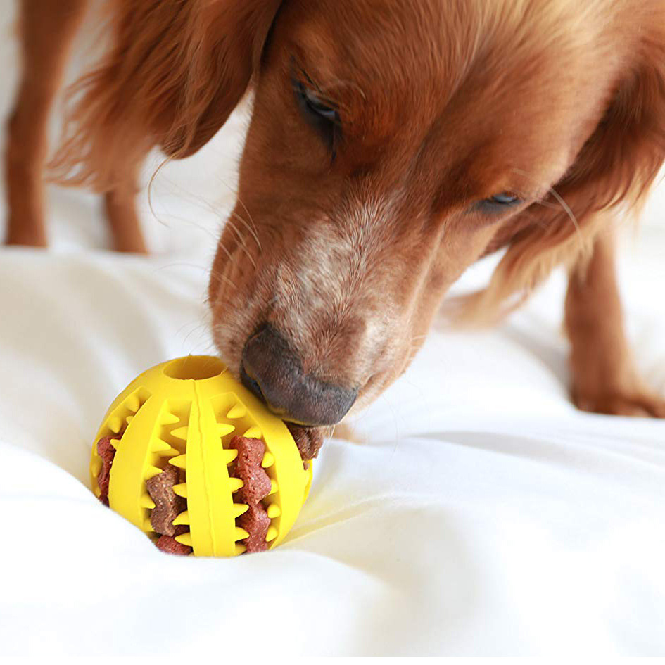 Wholesale Pet Rubber Bite-Resistant Molar Tooth Cleaning Watermelon Ball Dog Toy Small Medium Large plus-Sized Size Multi-Color Optional