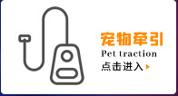 Pet Daily Necessities Dog Toy Ball Pet Molar Toy Tooth Cleaning TPR Bite Resistance Knot Toy Molar Rod