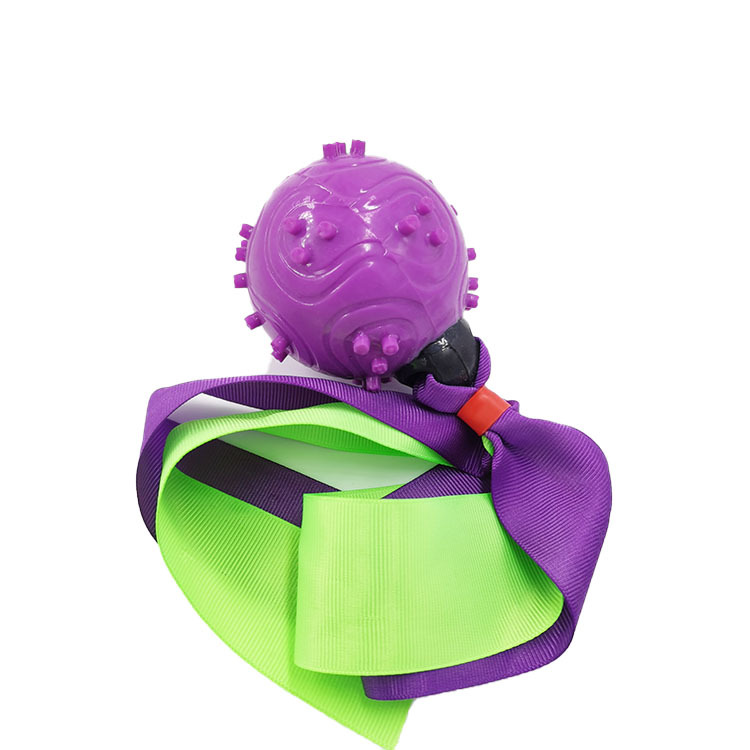 Pet Toy Molar Tooth Cleaning Ball TPR Ribbon Dog Sound Toy Environmental Protection Dog Training Bite-Resistant Ball Factory Price Direct Sales