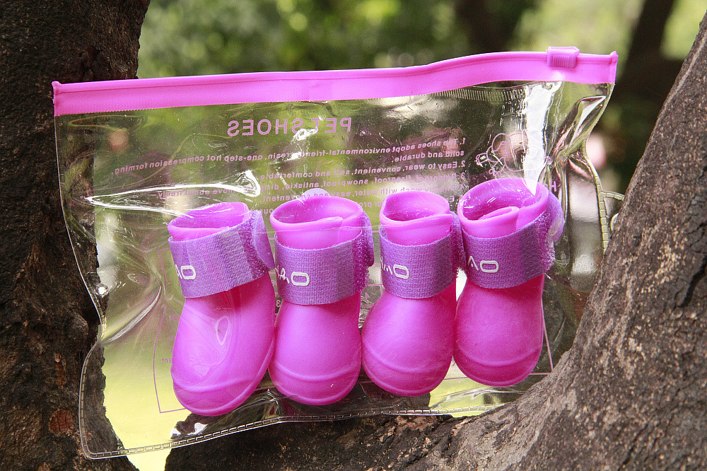 Pet Supplies Pet Shoes NonSlip Pet Boots DogCat Shoes Good Brand Pet Supplies Pet Shoes NonSlip Pet Boots DogCat Shoes Good Brand