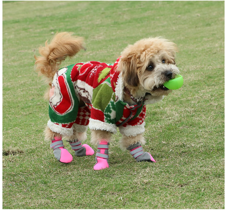 Hcpet Pet Shoes Dog Shoes Walking Shoes Small Dog Amazon Hot Selling New Pet Supplies Hcpet Pet Shoes Dog Shoes Walking Shoes Small Dog Amazon Hot Selling New Pet Supplies