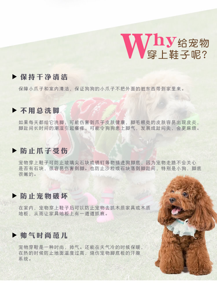 Hcpet Pet Shoes Dog Shoes Walking Shoes Small Dog Amazon Hot Selling New Pet Supplies Hcpet Pet Shoes Dog Shoes Walking Shoes Small Dog Amazon Hot Selling New Pet Supplies