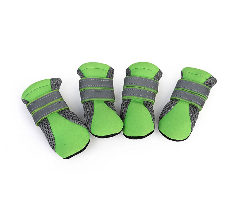 Hcpet Pet Shoes Dog Shoes Walking Shoes Small Dog Amazon Hot Selling New Pet Supplies Hcpet Pet Shoes Dog Shoes Walking Shoes Small Dog Amazon Hot Selling New Pet Supplies