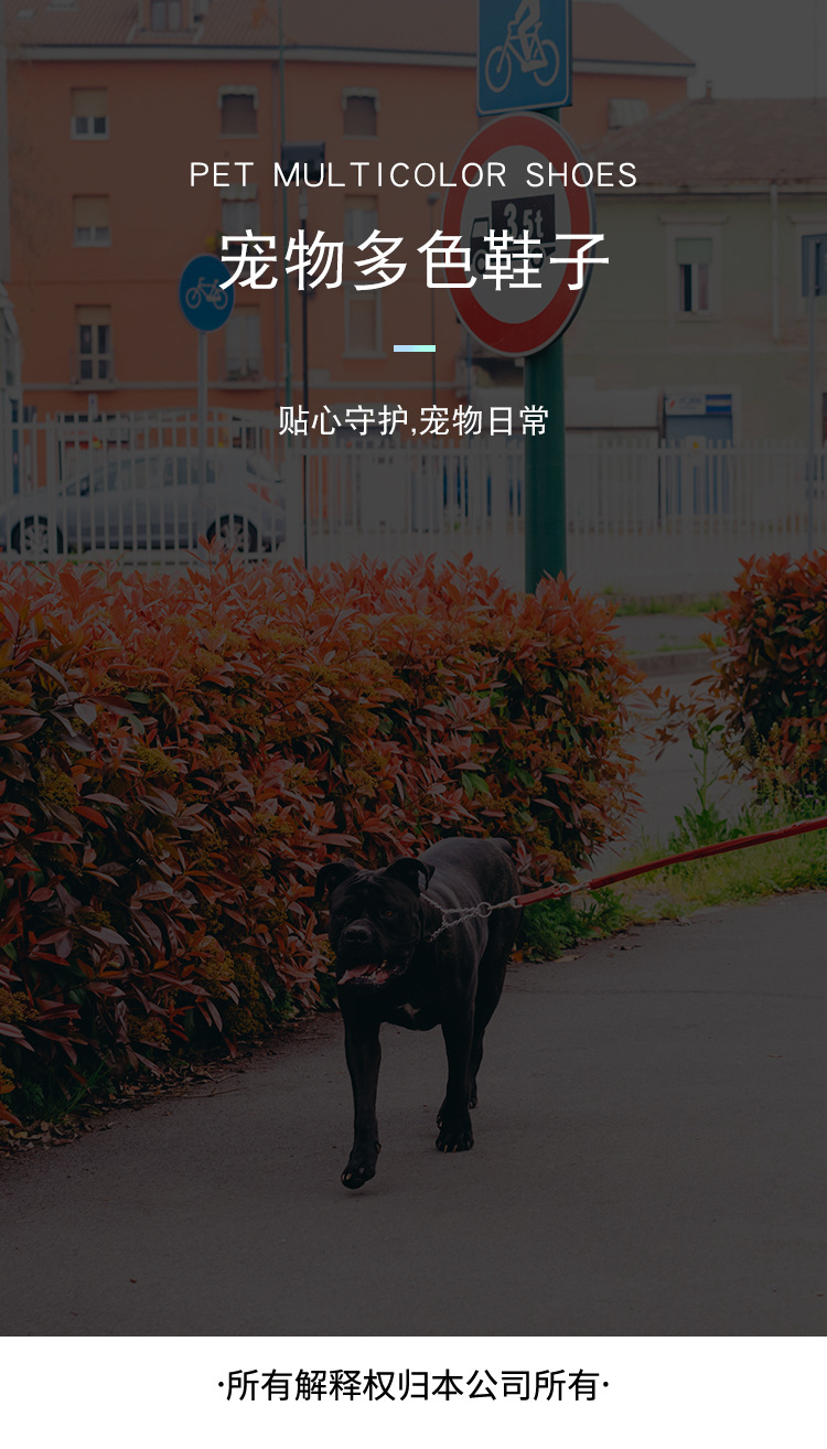 Dog Soft Shoes Puppy Shoes Toddler Non-Slip Pet Shoes Cover Rain Boots Pet Shoes Foot Cover One Product Dropshipping Dog Soft Shoes Puppy Shoes Toddler Non-Slip Pet Shoes Cover Rain Boots Pet Shoes Foot Cover One Product Dropshipping