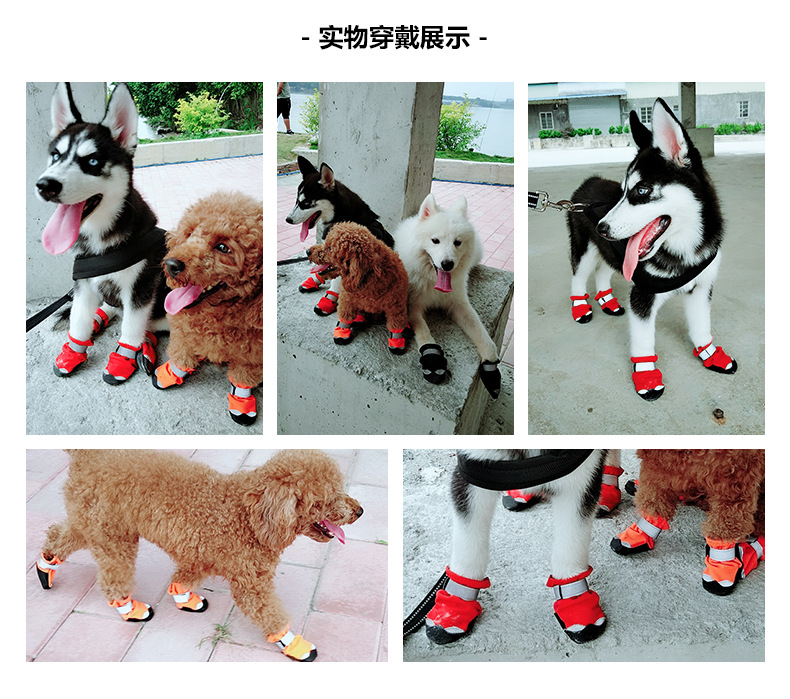 Lambeau manufacturers direct pet shoes waterproof, anti - skid wear - resisting dog snow boots cross - border hot sales four seasons