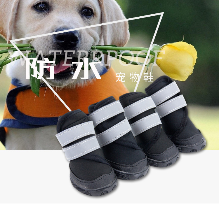 Lanboer blue wave pet shoes reflective pair of dog shoes with dog shoes.