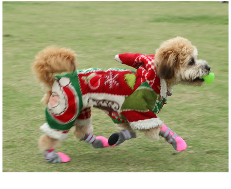 Lambeau pet shoes new summer manufacturers supply mesh shoes breathable leisure hot dog shoes small and medium-sized dogs