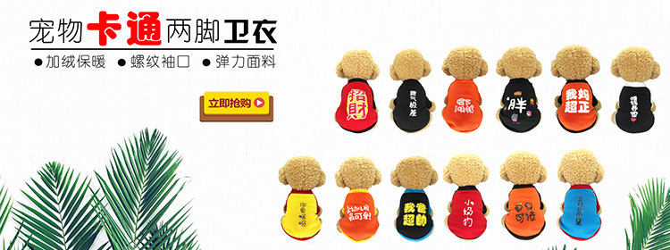 Pet Clothes Autumn and Winter New Dog Cat Cartoon Cartoon Hooded Sweater Warm Fleece Cotton One Product Dropshipping