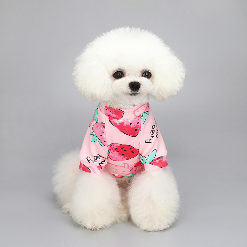 Customized New Cartoon Pet Clothes Fleece-Lined Two-Leg Sweater Autumn and Winter Pullover Pet Dog Clothes Cat Clothes