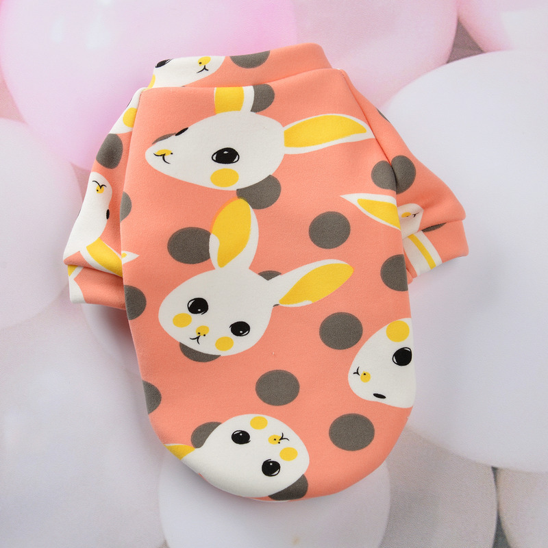 Customized New Cartoon Pet Clothes Fleece-Lined Two-Leg Sweater Autumn and Winter Pullover Pet Dog Clothes Cat Clothes