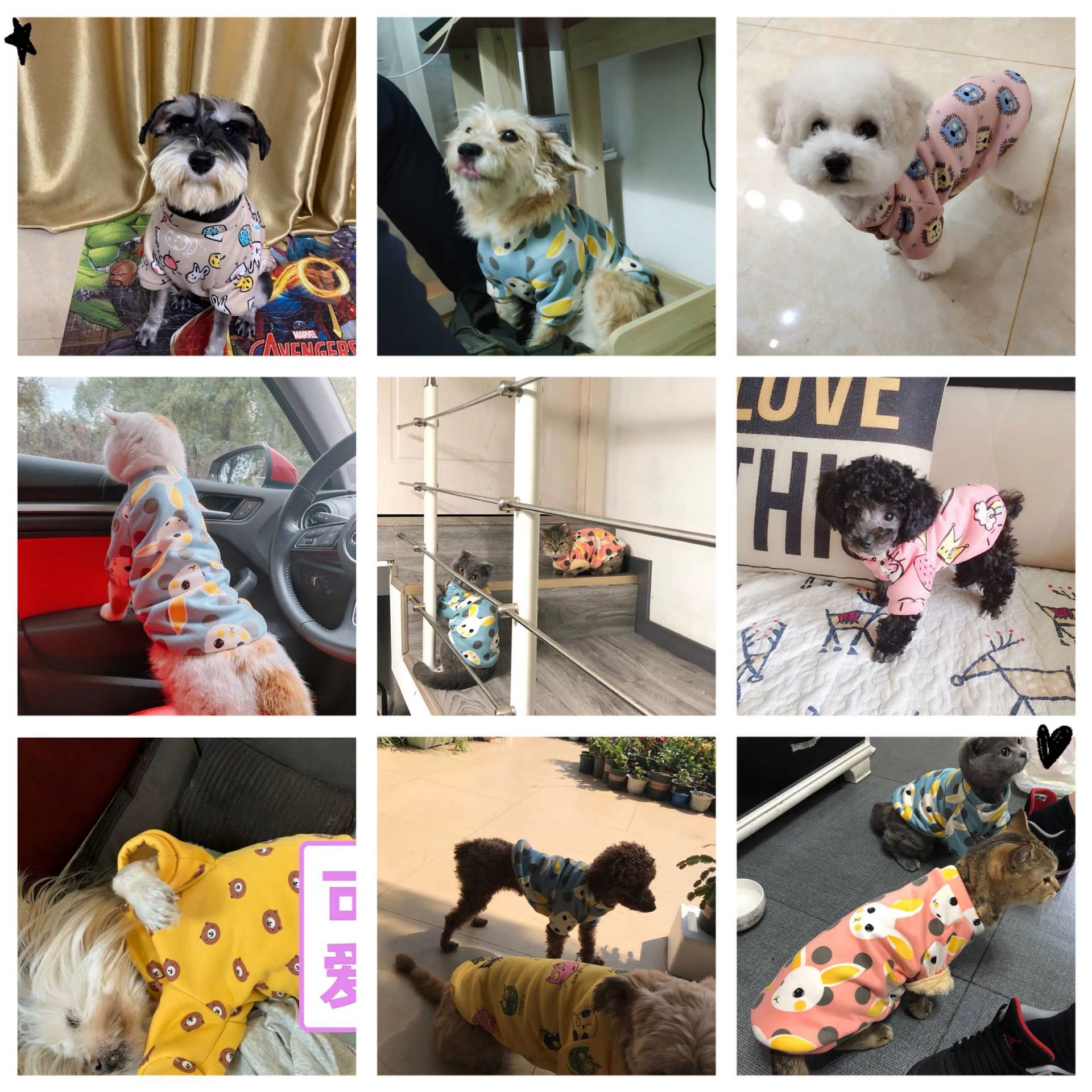 Customized New Cartoon Pet Clothes Fleece-Lined Two-Leg Sweater Autumn and Winter Pullover Pet Dog Clothes Cat Clothes Customized New Cartoon Pet Clothes Fleece-Lined Two-Leg Sweater Autumn and Winter Pullover Pet Dog Clothes Cat Clothes