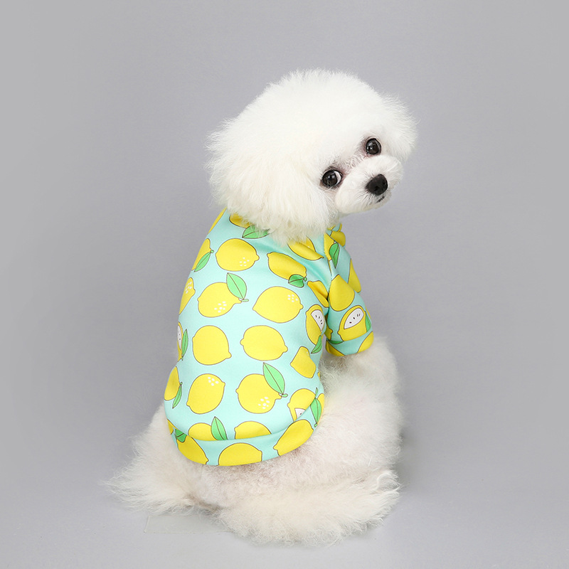 Customized New Cartoon Pet Clothes Fleece-Lined Two-Leg Sweater Autumn and Winter Pullover Pet Dog Clothes Cat Clothes