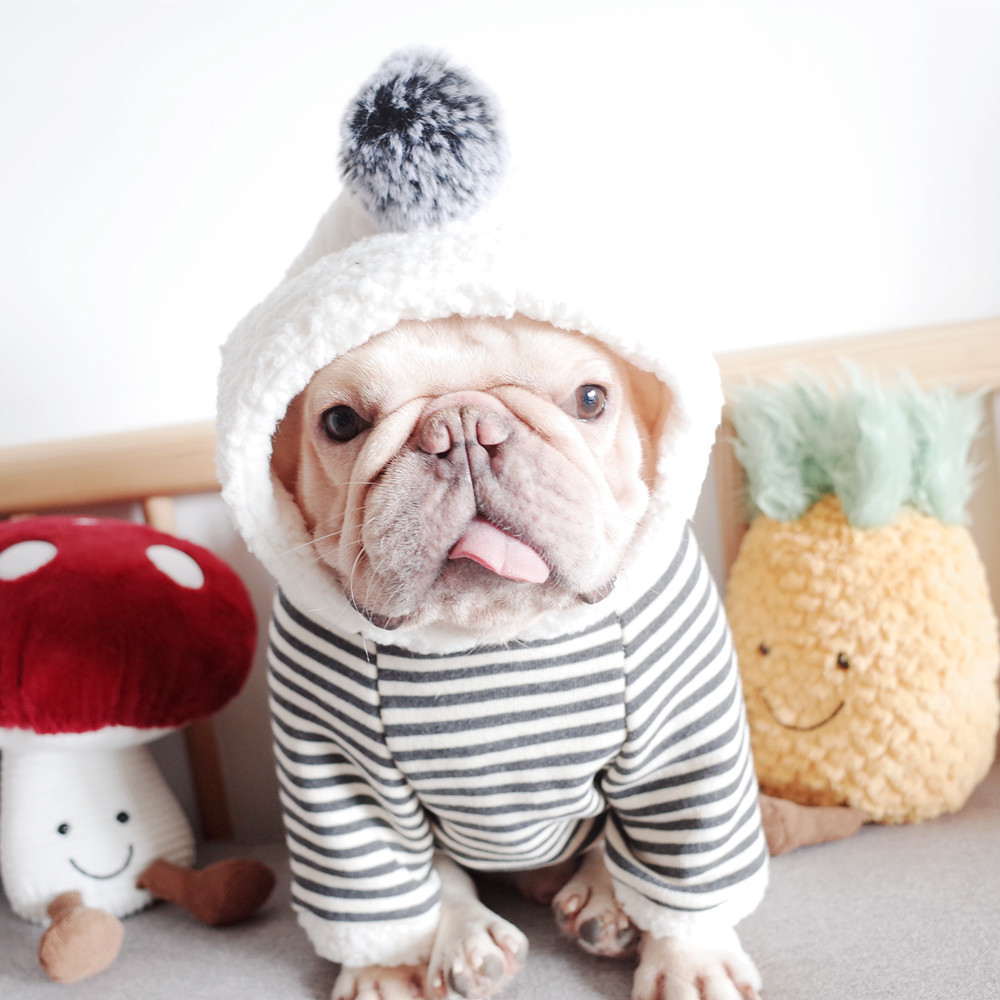 New Pet Clothes Dog Fall and Winter Clothes Pure Cotton Knitted Fleece Hooded Sweater French Bulldog Clothes Chenarui