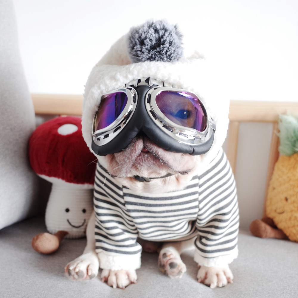 New Pet Clothes Dog Fall and Winter Clothes Pure Cotton Knitted Fleece Hooded Sweater French Bulldog Clothes Chenarui