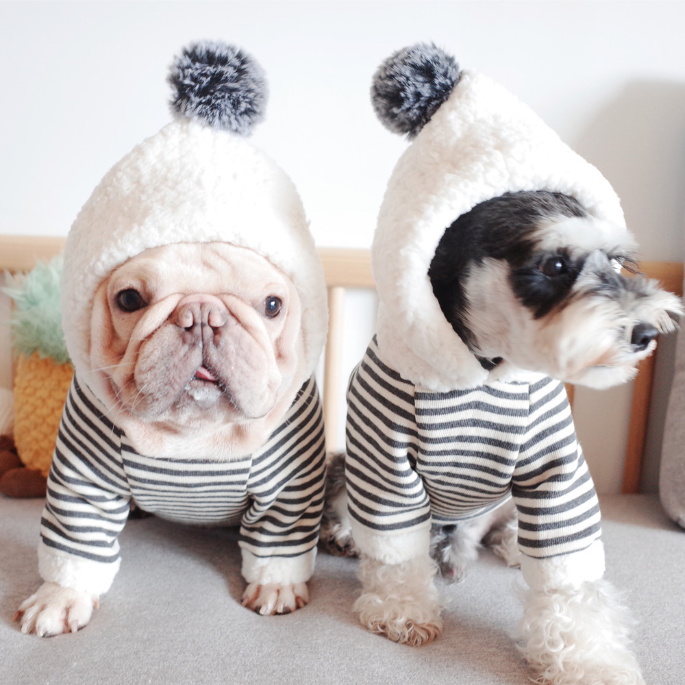 New Pet Clothes Dog Fall and Winter Clothes Pure Cotton Knitted Fleece Hooded Sweater French Bulldog Clothes Chenarui