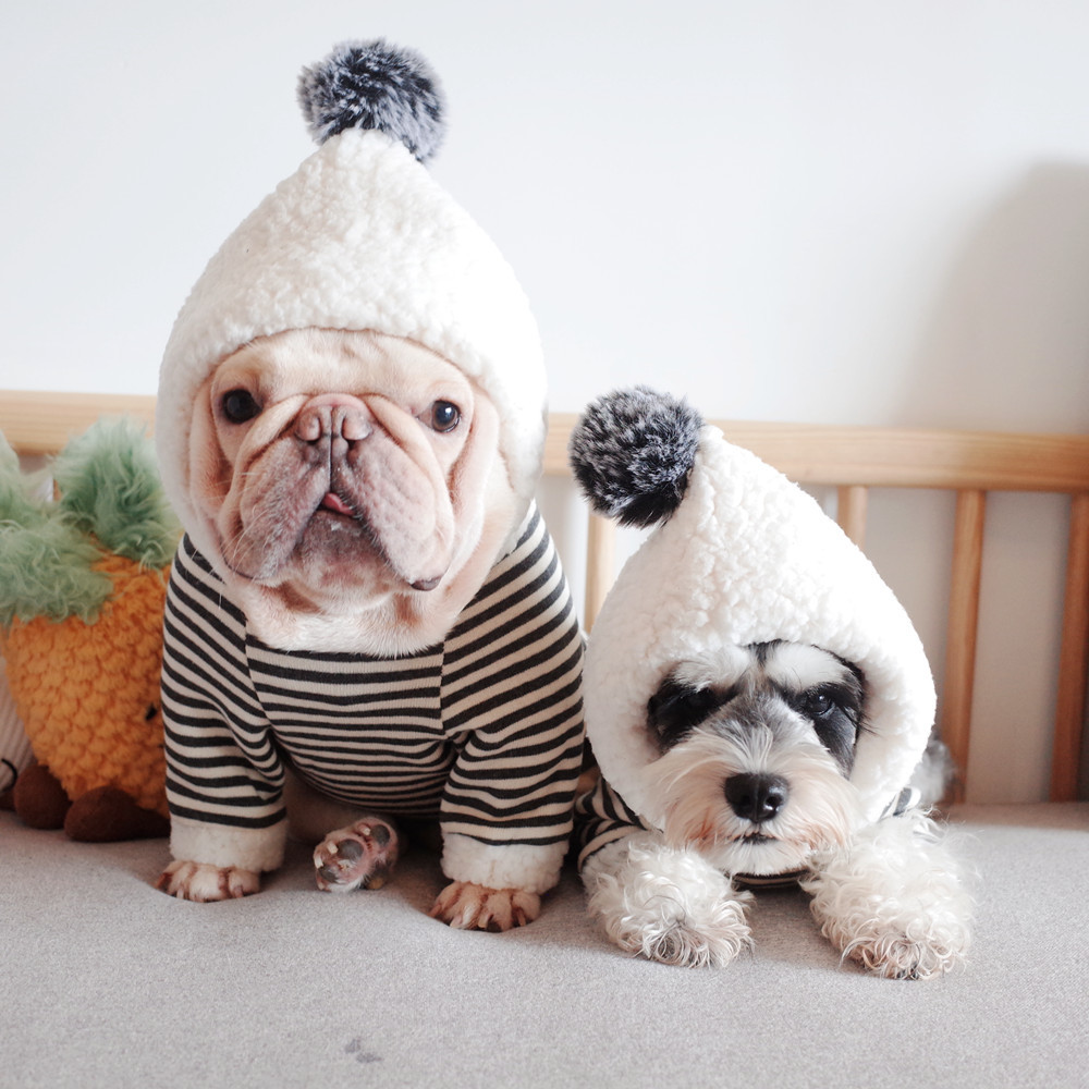 New Pet Clothes Dog Fall and Winter Clothes Pure Cotton Knitted Fleece Hooded Sweater French Bulldog Clothes Chenarui