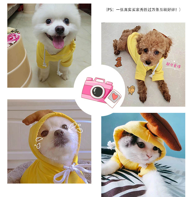 Fruit Dog Cat Small Medium and Large Dogs Autumn Winter Sweater Fleece Clothing Supplies Pet TeddyFrench Bulldog Fruit Dog Cat Small Medium and Large Dogs Autumn Winter Sweater Fleece Clothing Supplies Pet TeddyFrench Bulldog