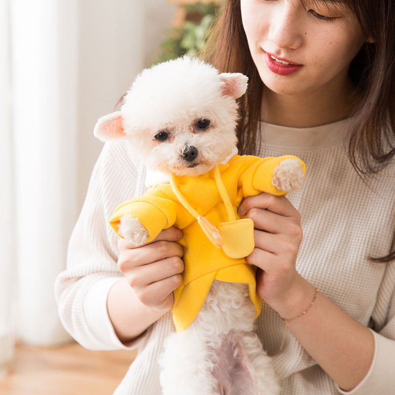 New Dog Clothes Autumn Winter Sweater Teddy Bear Small and Medium-Sized Dogs Puppy Cat Hooded Autumn Pet Clothing