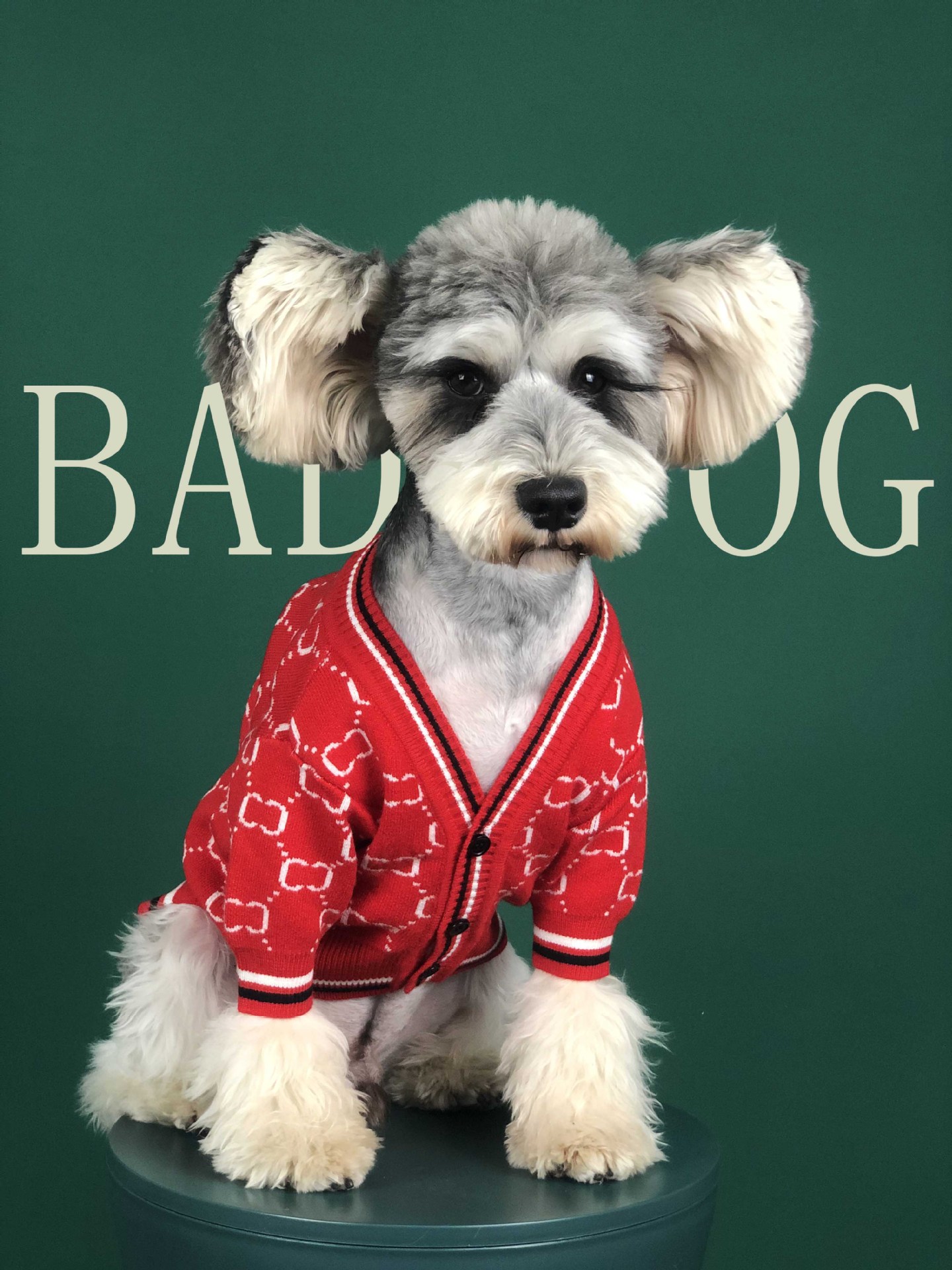 Dog Clothes Autumn Chenery Fadou Teddy Bago Cat Sweater Keji Spring Pet Clothes