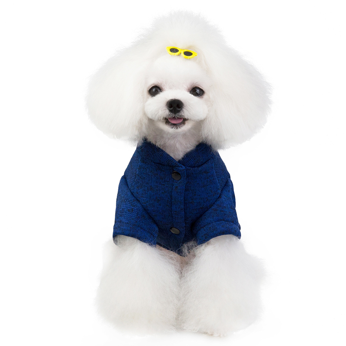 Pet Kitty Dog Clothes Clothing Supplies Teddy Autumn and Winter New Products in Stock Wholesale 19 Hat with Glasses Sweater Pet Kitty Dog Clothes Clothing Supplies Teddy Autumn and Winter New Products in Stock Wholesale 19 Hat with Glasses Sweater