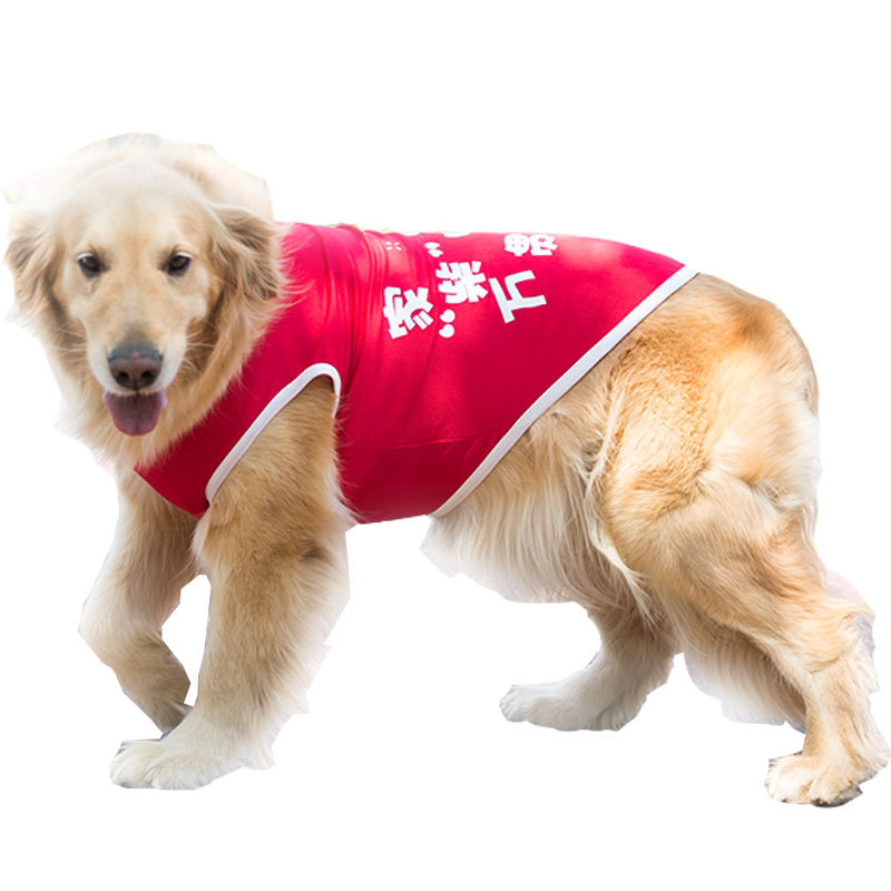 Big Dog Vest Spring and Summer Thin Breathable Golden Hair Samo Pet Two-legged T-shirt Sweater Medium Large Dog Clothes