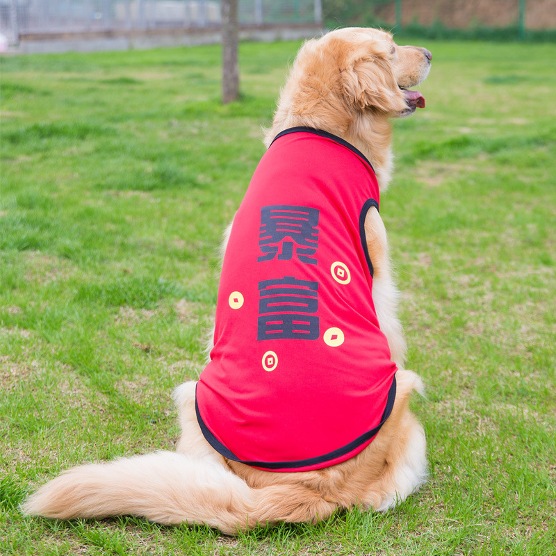 Big Dog Vest Spring and Summer Thin Breathable Golden Hair Samo Pet Two-legged T-shirt Sweater Medium Large Dog Clothes