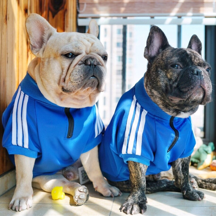 Keji Schenery Fadou Pet Popular Brand Three Bars Dog Pattern Sweater Spoof Autumn and Winter Sports Dog Clothes