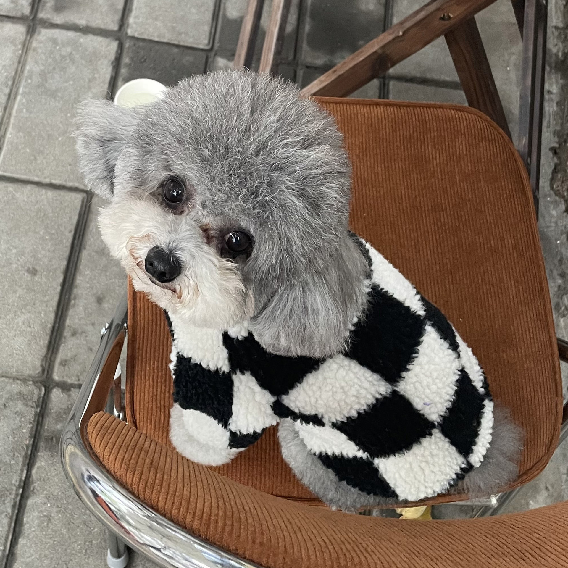 Autumn and Winter Dog Clothes Wholesale Chessboard Grid Bichon Teddy Schnauzer Cat Fur Coat Pet Dog Dog Sweater